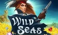 Wild Seas slot game