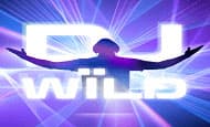 DJ wild slot