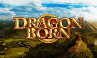 Dragon Born slot game