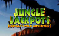 Jungle Jackpots UK online slot