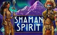 shamans spirit slot