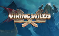 Viking Wilds UK online slot