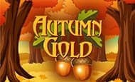 Autumn Gold slot game