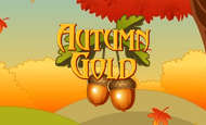 Autumn Gold slot game