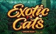 Exotic Cats slot game