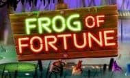 Frog Of Fortune UK online slot