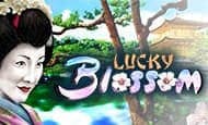 Lucky Blossom slot game