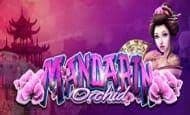 Mandarin Orchid slot game