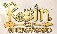 Robin of Sherwood mobile slot