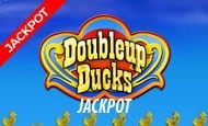 Doubleup Ducks jackpot slot game