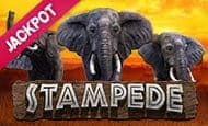 Stampede Jackpot slot game