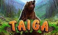 Taiga slot game