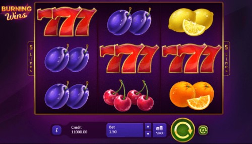 Burning Wins slot