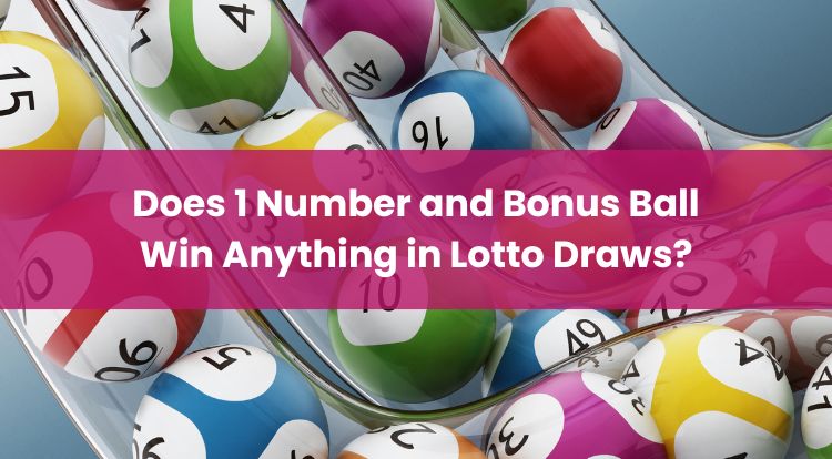 Does 1 Number and Bonus Ball Win Anything in Lotto Draws?