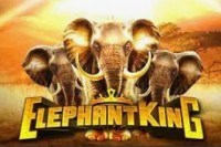 Elephant King slot game