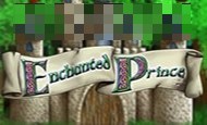 Enchanted Prince slot game