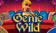 Genie Wild slot game