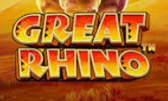 Top 7 Safari Themed Online Slots UK