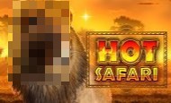 Hot Safari slot game