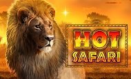 Hot Safari