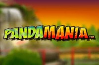 Pandamania slot game