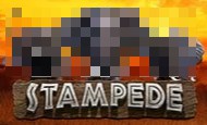 Stampede Online Slot