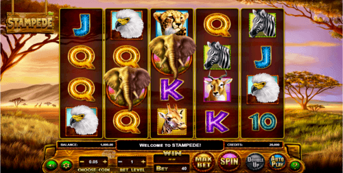 Stampede UK slot game