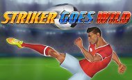 Striker goes Wild slot game