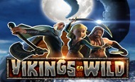 Vikings Go Wild UK online slot