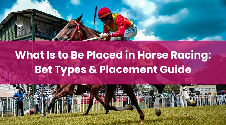 What Is to Be Placed in Horse Racing: Bet Types & Placement Guide