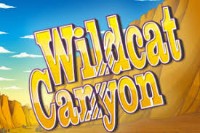 Wildcat Canyon slot game