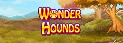 What Are The Top Rated Animal Themed Online Slots?