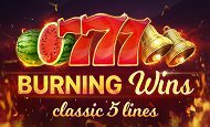 burning wins slot game