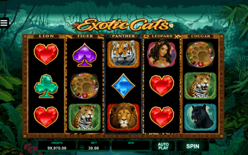 Exotic Cats UK online slot game